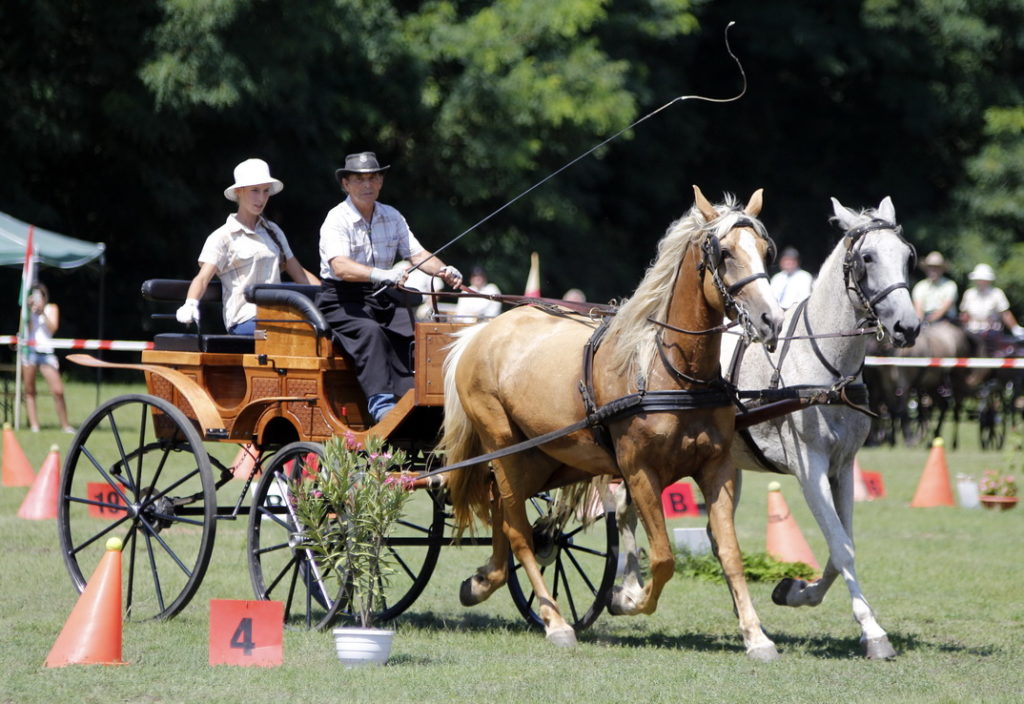 Lovasnapok 2016-ban. Fotó: Molnár Gyula/Paksi Hírnök
