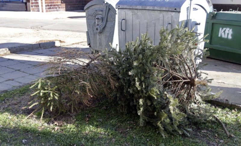 Fotó: Molnár Gyula/Paksi Hírnök