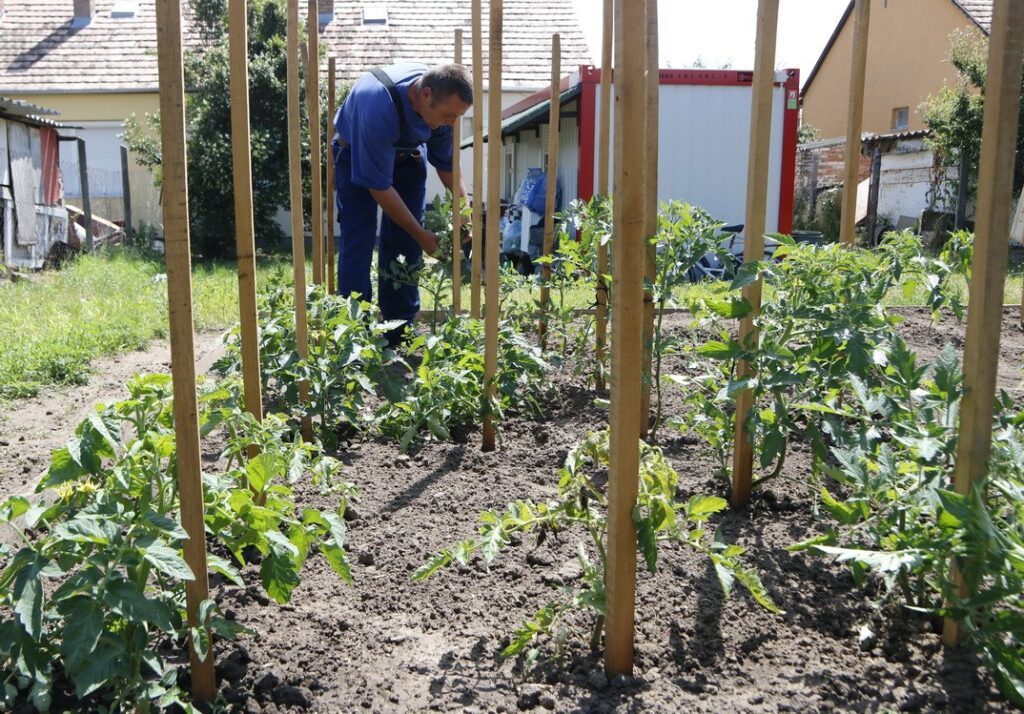 Fotó: Molnár Gyula/Paksi Hírnök