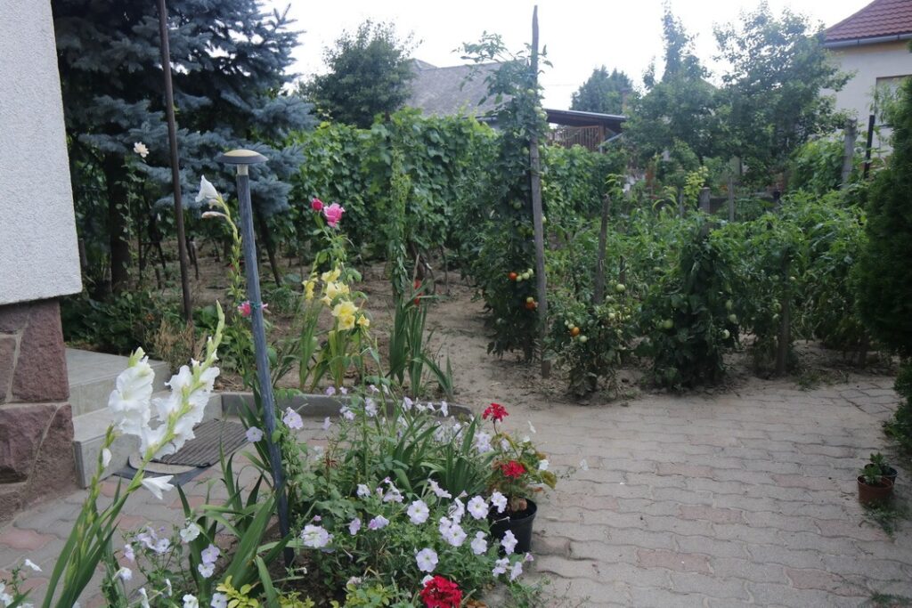 Fotó: Molnár Gyula/Paksi Hírnök