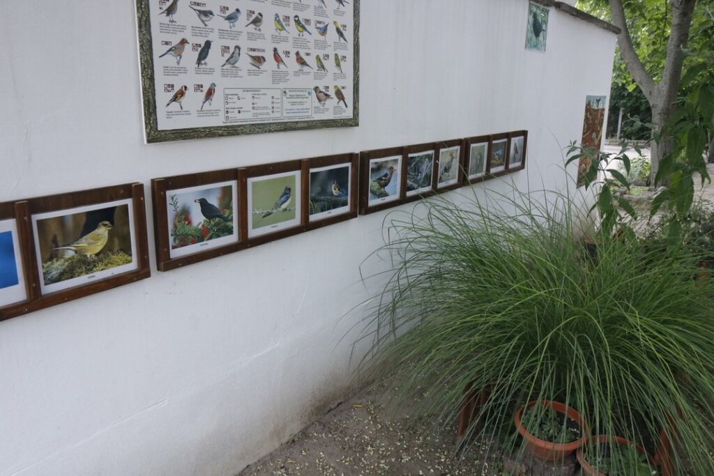 Fotó: Molnár Gyula/Paksi Hírnök