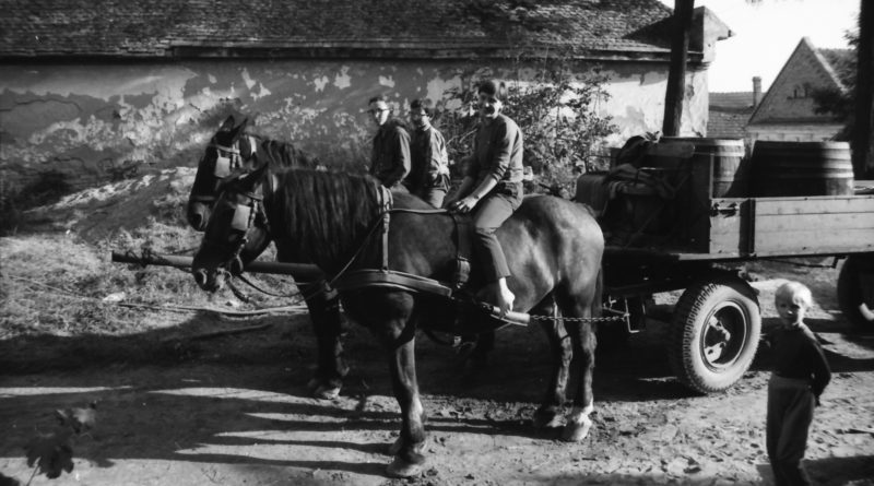 Fotó: Felsmann József