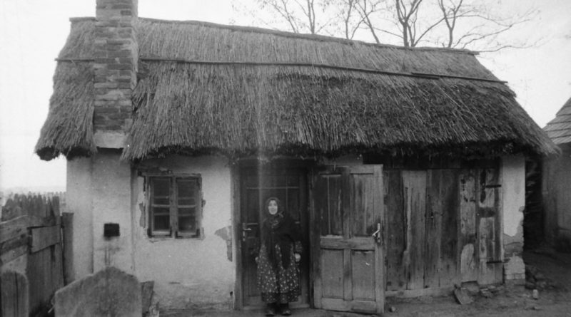 Fotó: Felsmann József