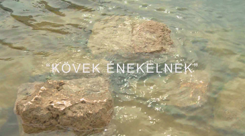 Forrás: TelePaks Kistérségi Televízió