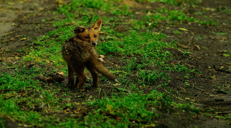 Képünk illusztráció. Fotó: Schmidt Ferenc
