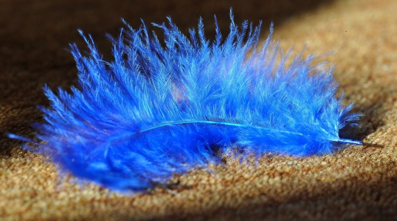 Képünk illusztráció. Fotó: www.pixabay.com