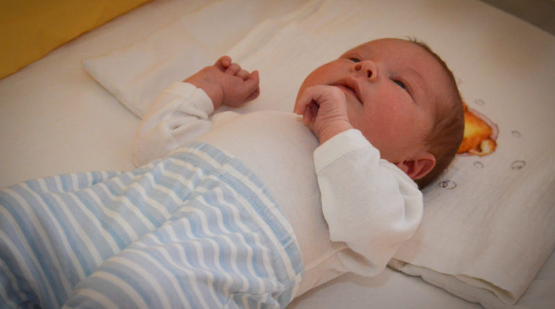 Fotó: Szaffenauer Ferenc/Paksi Hírnök