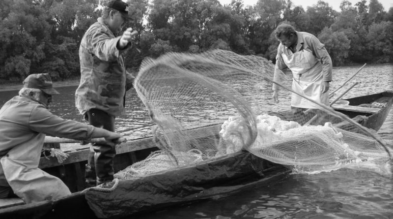 Dunai halászat. Fotó: Kövi Gergő/Paksi Hírnök archív
