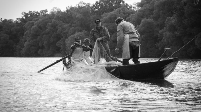Dunai halászat. Fotó: Kövi Gergő/Paksi Hírnök archív