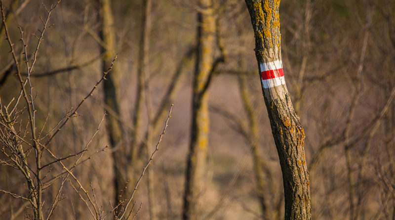 Ürgemező. Fotó: Babai István/Paksi Polgármesteri Hivatal