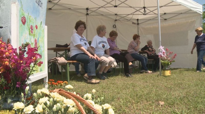 A paksi kertbarátok Én kis kertem pályázatára közel harminc kompozíciót készítettek az óvodások. Fotó: TelePaks