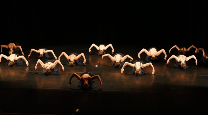 Fotó: Pro Artis Alapfokú Művészeti Iskola