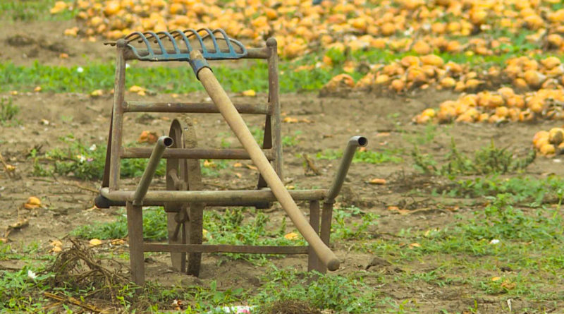 Mező-föld, a TelePaks új magazinja. Forrás: TelePaks Kistérségi Televízió