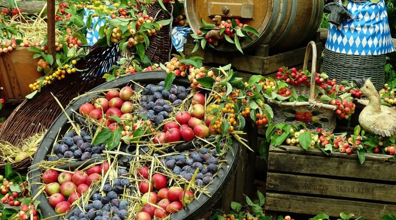 Az ősz gyümölcseiből kell készíteni szörpöt, süteményt, lekvárt a dunakömlődi szüreti naphoz kapcsolódó pályázatok keretében. Fotó: www.pixabay.com