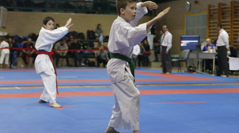 Karate ob Pakson. Fotó: Molnár Gyula/Paksi Hírnök