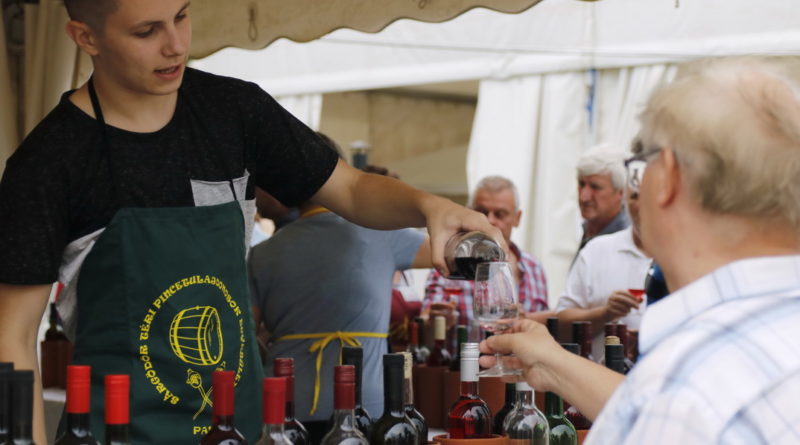 Tízéves a sillerfesztivál. Fotó: Molnár Gyula/Paksi Hírnök