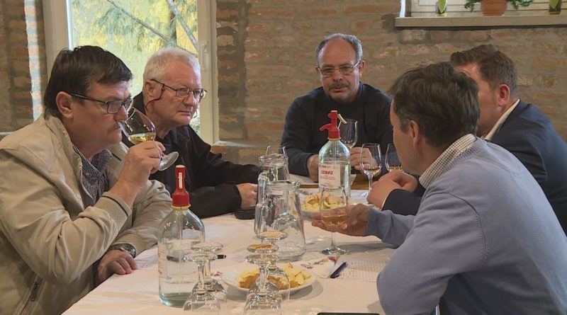 Három bizottságban értékelték a nevezett borokat a 2018-as dunakömlődi borversenyen. Fotó: TelePaks