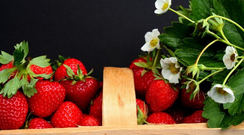 A kép illusztráció. Fotó: pixabay.com