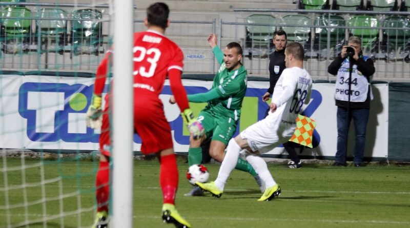 Fotó: Molnár Gyula/Paksi Hírnök