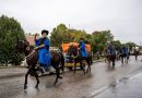 Szüreti nap lesz Dunakömlődön Szüreti nap lesz Dunakömlődön