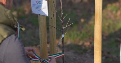 Ültessünk együtt – mert a gyökerek összekötnek