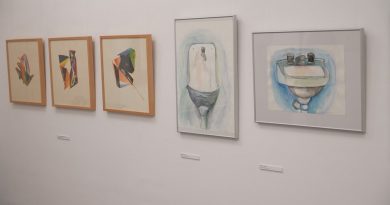 Impresszió címmel nyílt kamarakiállítás