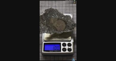 Letartóztattak egy paksi dílert