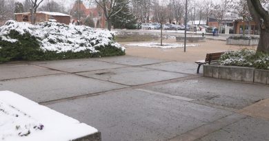 Emblematikus területet fejlesztenek