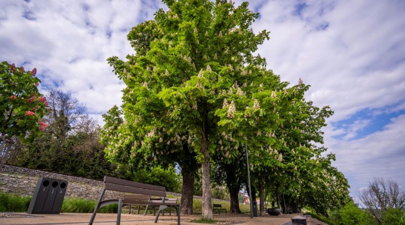 Paks úttörő lehet a biológiai növényvédelemben