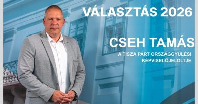 Cseh Tamás az országgyűlési képviselő