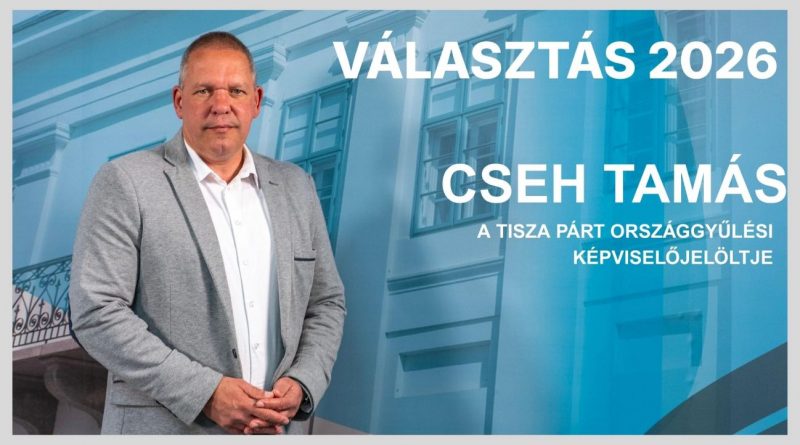 Cseh Tamás az országgyűlési képviselő