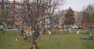 Díszbe öltözött a Táncsics Park