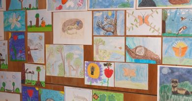 Rajzpályázat a Föld Napja alkalmából