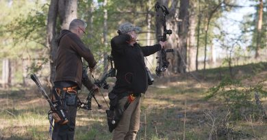 Repültek a nyilak Cseresznyésben
