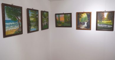 Tájképekből nyílt kiállítás