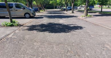 Június harmadikáig még parkolhatnak a Gesztenyés utcában Június harmadikáig még parkolhatnak a Gesztenyés utcában