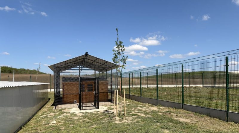 Jelentős előrelépés történt az állatvédelemben