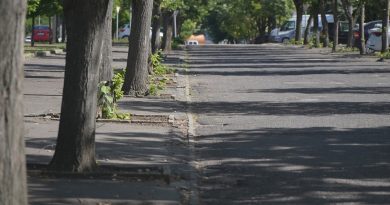 Figyeljenek gépjárműveikre a tulajdonosok a Gesztenyés úton