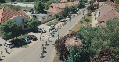 Hasznos tippek szurkoláshoz