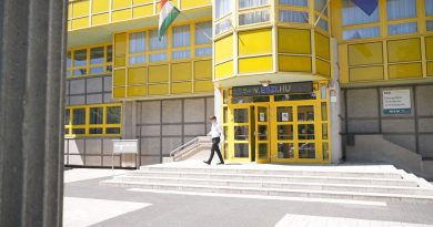 Meglepő volt a műértelmezési feladat