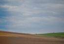 KSH – Tájékoztató az Agrárium 2026 mezőgazdasági összeírásról