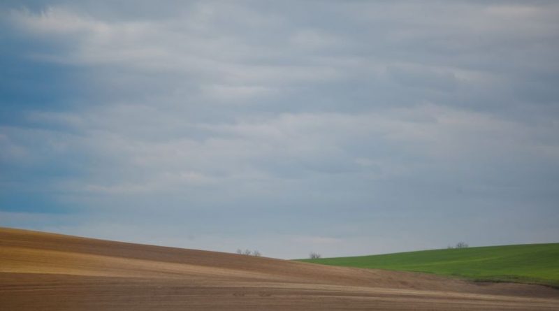 KSH – Tájékoztató az Agrárium 2026 mezőgazdasági összeírásról