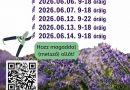 Programajánló – Levendula szüret a LevenDuna ültetvényen Programajánló – Levendula szüret a LevenDuna ültetvényen