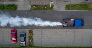 Értesítés földi szúnyoggyérítésről