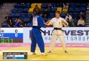 Bronzérem Mongóliából Bronzérem Mongóliából