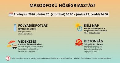 MÁSODFOKÚ HŐSÉGRIASZTÁS MÁSODFOKÚ HŐSÉGRIASZTÁS