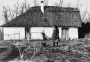Történetek Cseresznyéspusztáról (4. rész)