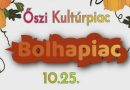 Jótékonysággal egybekötött Kultúrpiacot szerveznek Kalocsán